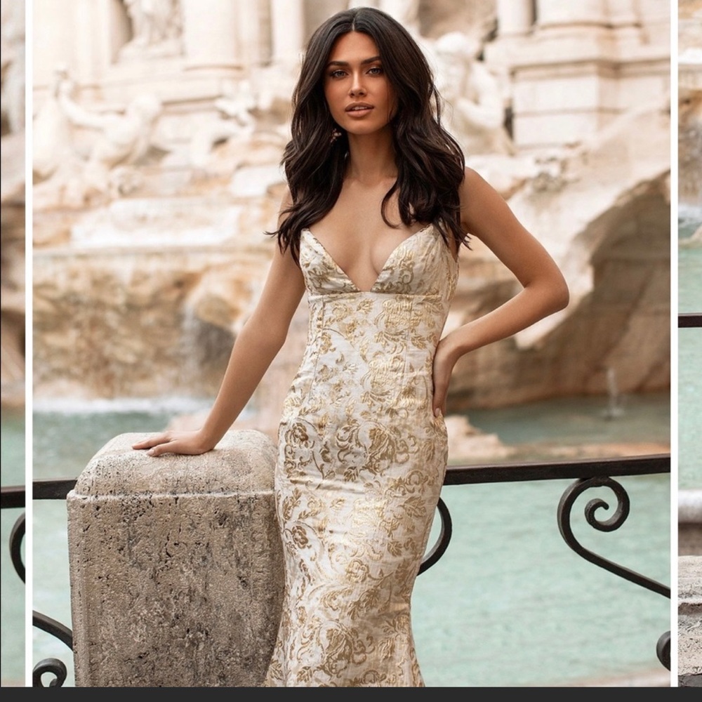 NWT Tereza dress.
